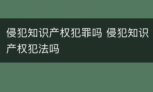 侵犯知识产权犯罪吗 侵犯知识产权犯法吗
