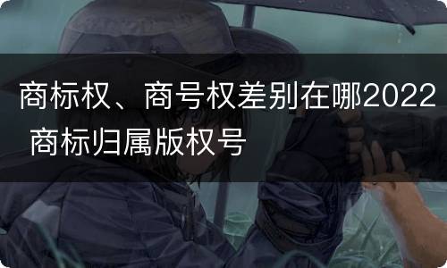 商标权、商号权差别在哪2022 商标归属版权号