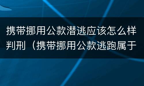 携带挪用公款潜逃应该怎么样判刑（携带挪用公款逃跑属于）