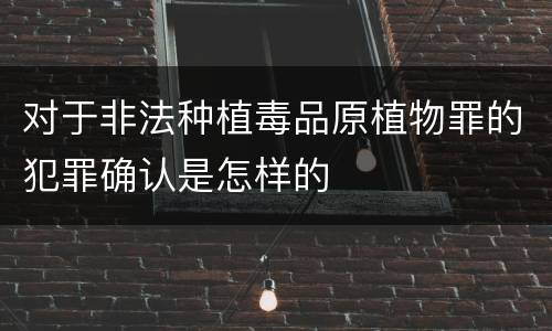 对于非法种植毒品原植物罪的犯罪确认是怎样的