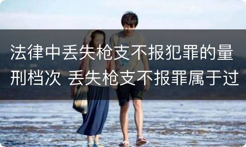 法律中丢失枪支不报犯罪的量刑档次 丢失枪支不报罪属于过失犯罪吗