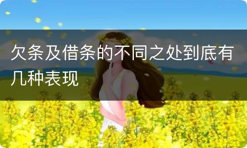 欠条及借条的不同之处到底有几种表现