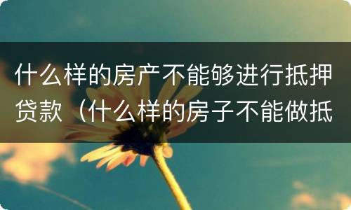 什么样的房产不能够进行抵押贷款（什么样的房子不能做抵押贷款）