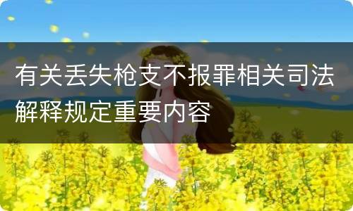 有关丢失枪支不报罪相关司法解释规定重要内容