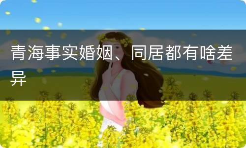 青海事实婚姻、同居都有啥差异