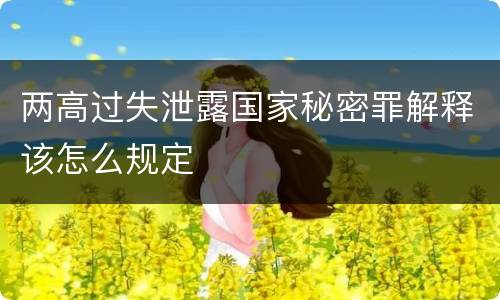 两高过失泄露国家秘密罪解释该怎么规定
