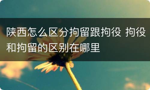 陕西怎么区分拘留跟拘役 拘役和拘留的区别在哪里