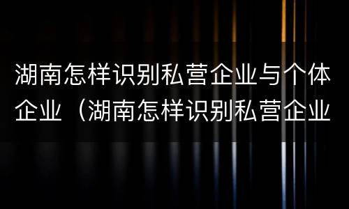 湖南怎样识别私营企业与个体企业（湖南怎样识别私营企业与个体企业的区别）