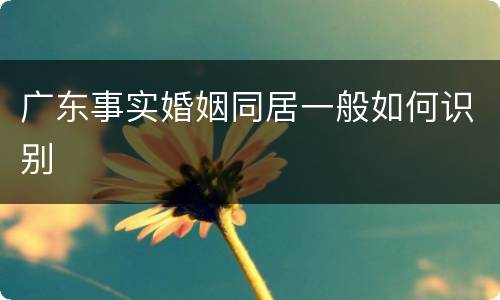 广东事实婚姻同居一般如何识别
