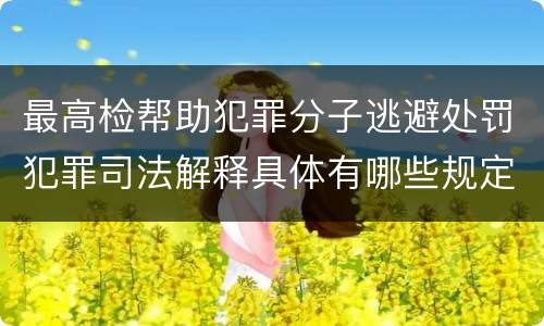最高检帮助犯罪分子逃避处罚犯罪司法解释具体有哪些规定