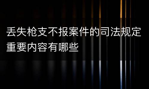 丢失枪支不报案件的司法规定重要内容有哪些
