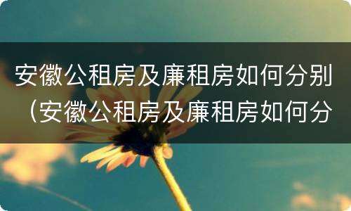 安徽公租房及廉租房如何分别（安徽公租房及廉租房如何分别认定）