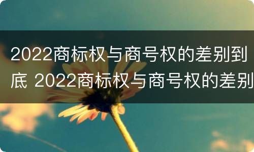 2022商标权与商号权的差别到底 2022商标权与商号权的差别到底有多大