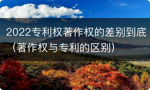 2022专利权著作权的差别到底（著作权与专利的区别）