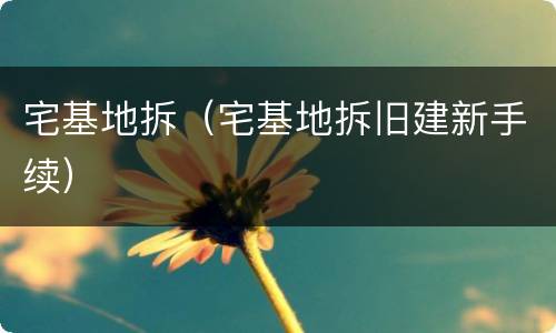 宅基地拆（宅基地拆旧建新手续）