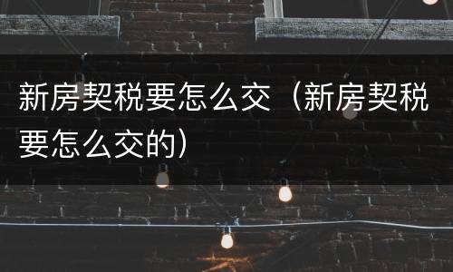 新房契税要怎么交（新房契税要怎么交的）