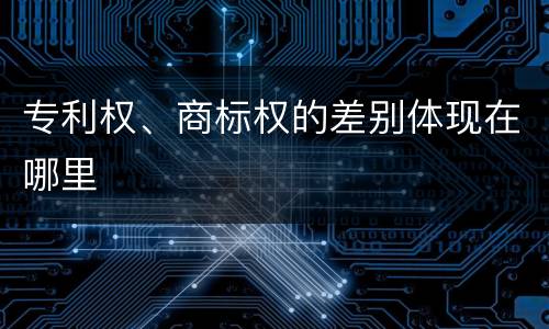 专利权、商标权的差别体现在哪里