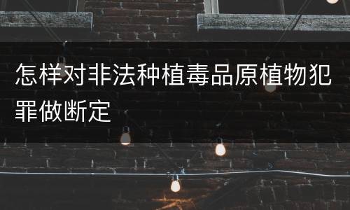 怎样对非法种植毒品原植物犯罪做断定