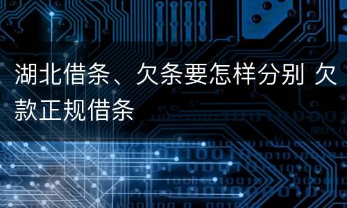 湖北借条、欠条要怎样分别 欠款正规借条