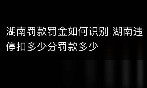 湖南罚款罚金如何识别 湖南违停扣多少分罚款多少