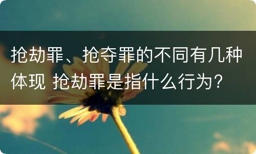 抢劫罪、抢夺罪的不同有几种体现 抢劫罪是指什么行为?
