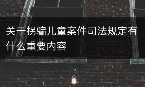 关于拐骗儿童案件司法规定有什么重要内容