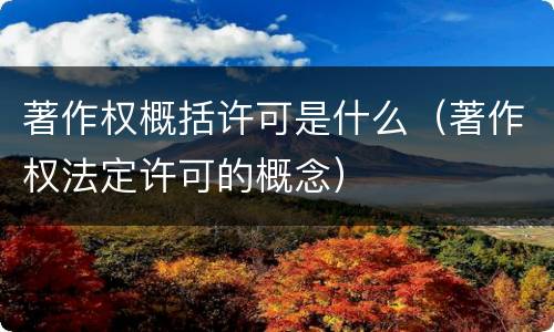 著作权概括许可是什么（著作权法定许可的概念）