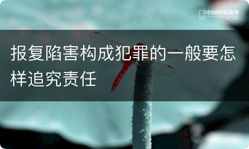 报复陷害构成犯罪的一般要怎样追究责任