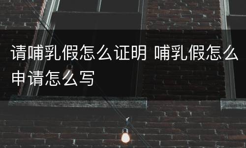 请哺乳假怎么证明 哺乳假怎么申请怎么写