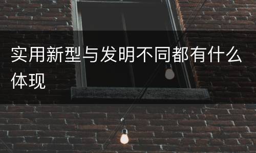 实用新型与发明不同都有什么体现
