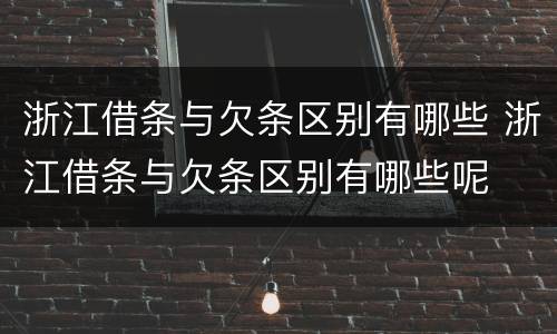 浙江借条与欠条区别有哪些 浙江借条与欠条区别有哪些呢