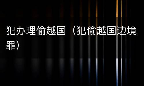 犯办理偷越国（犯偷越国边境罪）