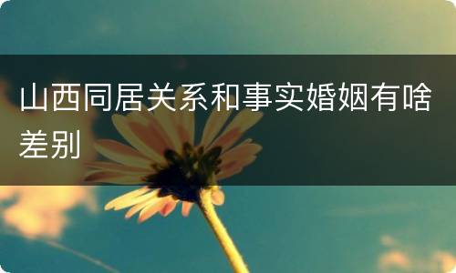 山西同居关系和事实婚姻有啥差别