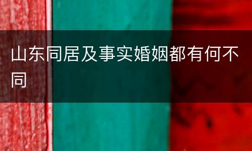 山东同居及事实婚姻都有何不同