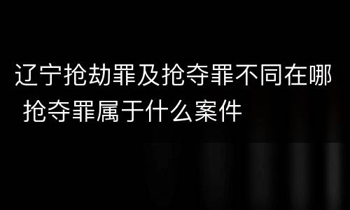 辽宁抢劫罪及抢夺罪不同在哪 抢夺罪属于什么案件