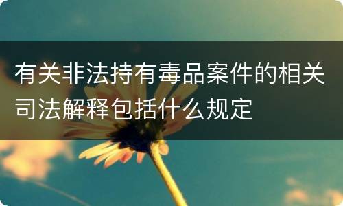 有关非法持有毒品案件的相关司法解释包括什么规定