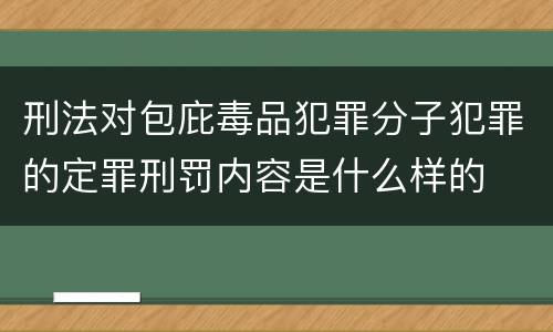 刑法对包庇毒品犯罪分子犯罪的定罪刑罚内容是什么样的