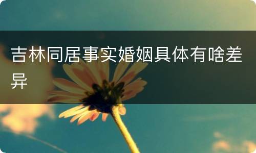 吉林同居事实婚姻具体有啥差异