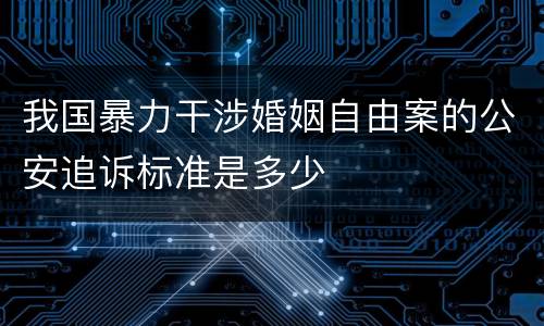 我国暴力干涉婚姻自由案的公安追诉标准是多少