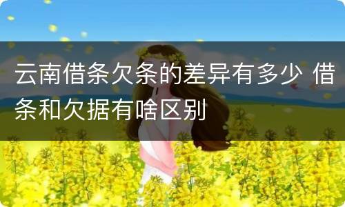 云南借条欠条的差异有多少 借条和欠据有啥区别