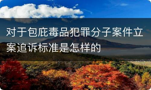 对于包庇毒品犯罪分子案件立案追诉标准是怎样的