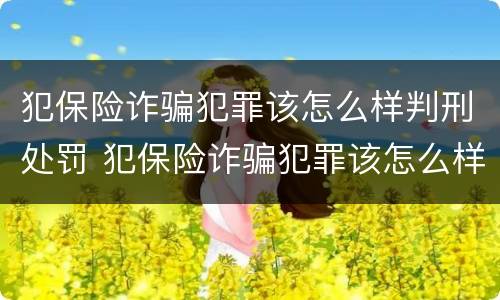 犯保险诈骗犯罪该怎么样判刑处罚 犯保险诈骗犯罪该怎么样判刑处罚多少钱