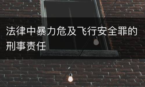 法律中暴力危及飞行安全罪的刑事责任