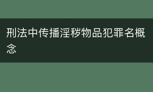 刑法中传播淫秽物品犯罪名概念