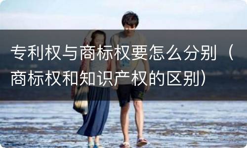 专利权与商标权要怎么分别（商标权和知识产权的区别）