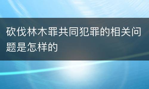 砍伐林木罪共同犯罪的相关问题是怎样的