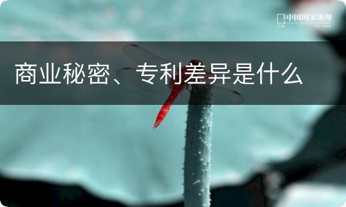 商业秘密、专利差异是什么