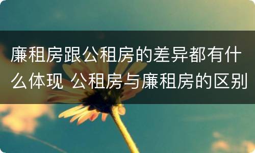 廉租房跟公租房的差异都有什么体现 公租房与廉租房的区别是什么