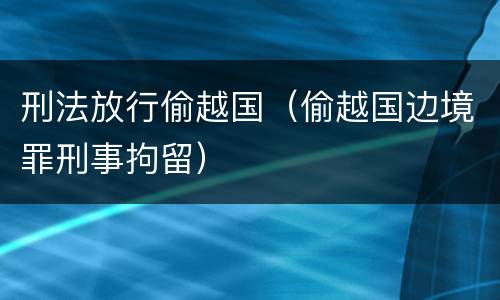 刑法放行偷越国（偷越国边境罪刑事拘留）