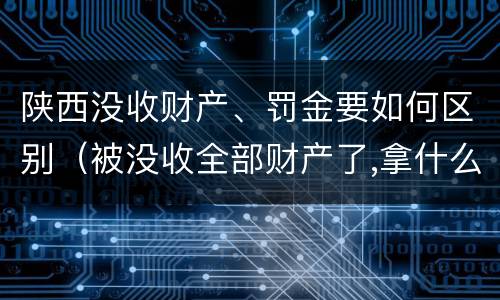 陕西没收财产、罚金要如何区别（被没收全部财产了,拿什么交罚金）